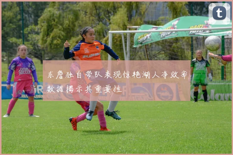 东詹独自带队表现惊艳湖人净效率数据揭示其重要性