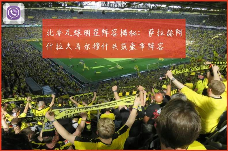 北非足球明星阵容揭秘：萨拉赫阿什拉夫马尔穆什共筑豪华阵容