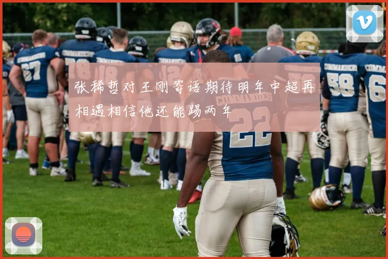 张稀哲对王刚寄语期待明年中超再相遇相信他还能踢两年